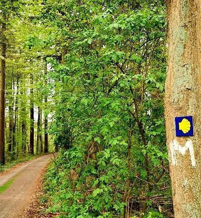 Appartement Auszeit Rhein-mosel *