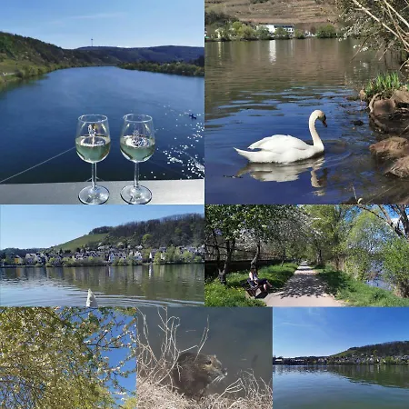 Auszeit Rhein-mosel Apartman Waldesch
