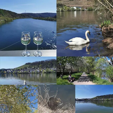 Auszeit Rhein-mosel Apartment Waldesch