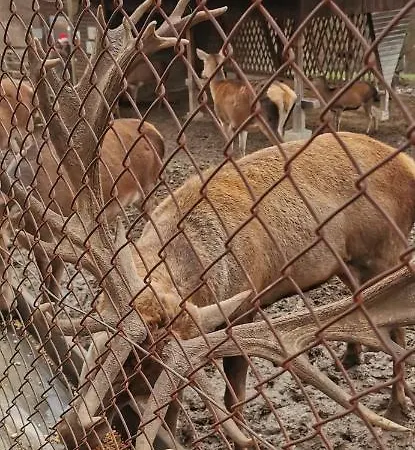 Auszeit Rhein-mosel *