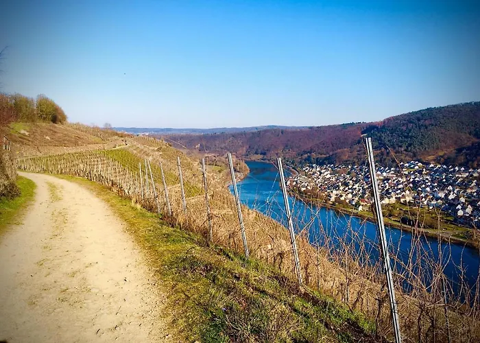 Апартаменты Auszeit Rhein-mosel Waldesch