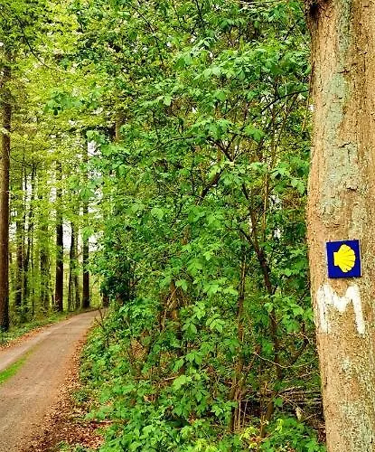 Апартаменты Auszeit Rhein-mosel *