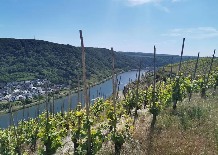 Auszeit Rhein-mosel Апартаменты