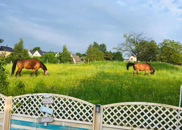 Auszeit Rhein-mosel Апартаменты *