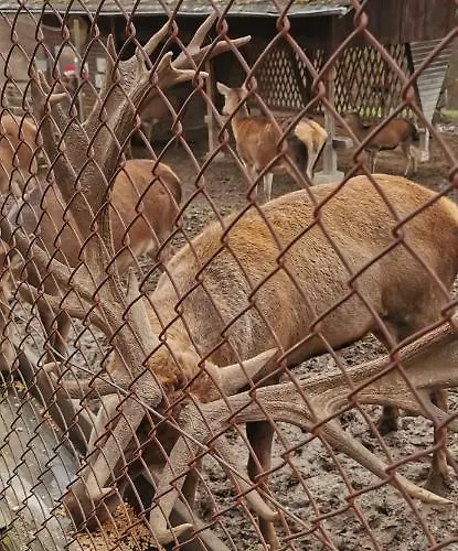 Auszeit Rhein-mosel *