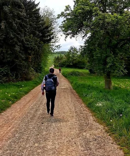 Auszeit Rhein-mosel Waldesch